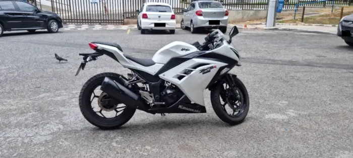 Ninja 300 2013
