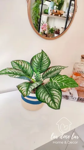VASOS DECORATIVOS COM PLANTA PERMANENTE