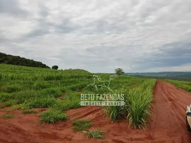 Imóvel para venda possui 7356800 metros quadrados