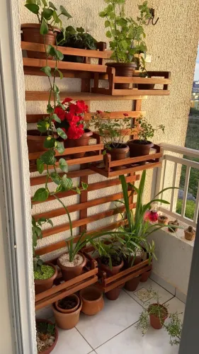 Jardim Vertical de Madeira