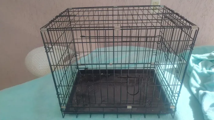 Caixa transporte para pet