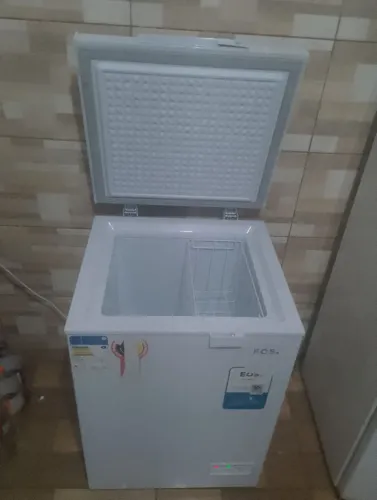 Freezer vertical
