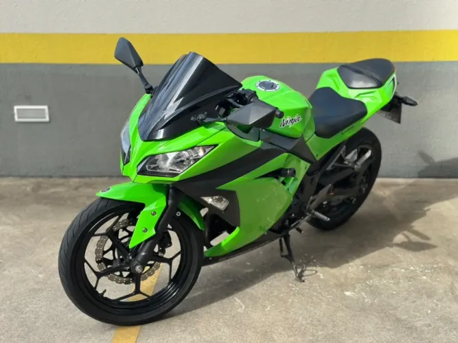 Kawasaki Ninja 300 2018