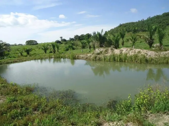 Fazenda na Vicinal 1 do Apiaú Mucajaí