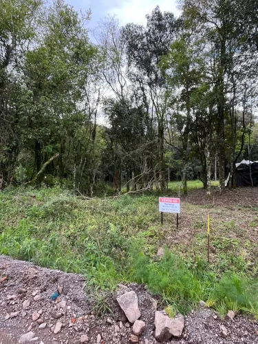 Terreno 1.463 m² em Garibaldi - ideal para casa ampla ou chácara