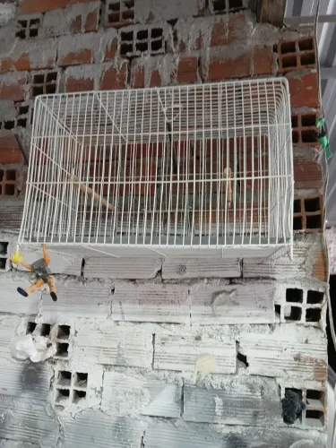 Gaiola para periquitos