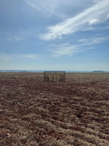 Zona rural - Distrito São Luiz , Londrina PR