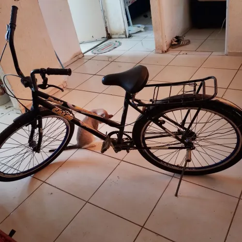 Bicicleta 250 reais preciso pra hoje