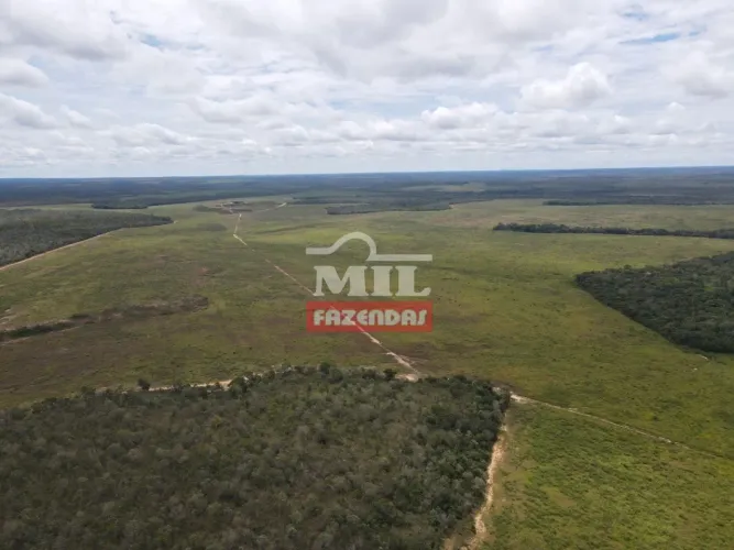FAZENDA PEDRO AFONSO - TO - 311 alqueires (1.507 Hectares)