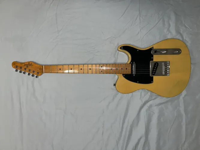 Guitarra Tagima TW55 BS + Bag