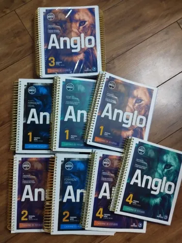 Lote 12 Apostilas 1ª Série do Ensino Médio (Edição 2023) Sistema Anglo.