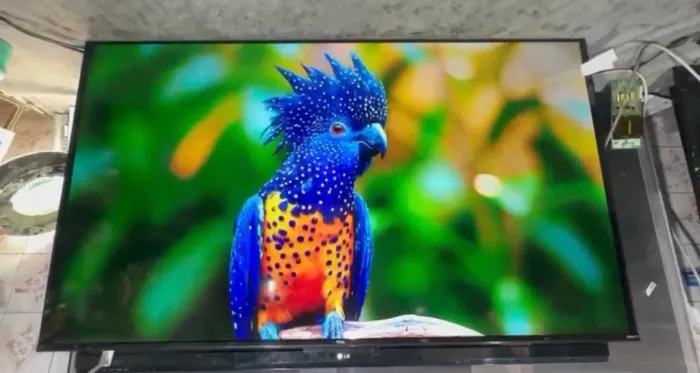 SMART TV 55? ROKU TV
