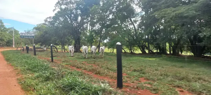 FAZENDINHAS FINANCIADAS em 180x de R$1.150,00 vezes