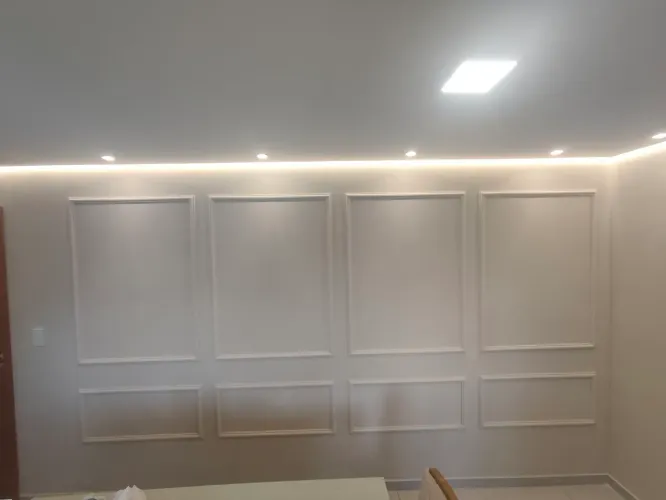 Pintor profissional