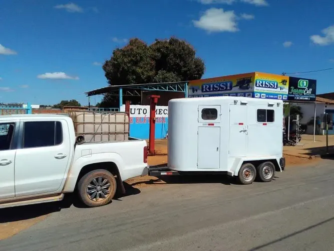 Legalização para trailer carga viva trailer para cavalo, reboque pra animal 