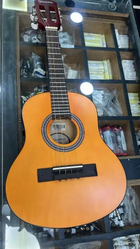 Cavaquinho Profissional Gianinni Eletro acústico na promoção 