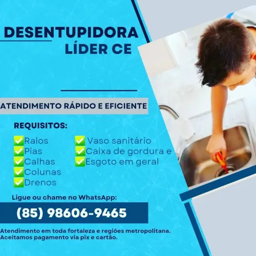 Desentupidor