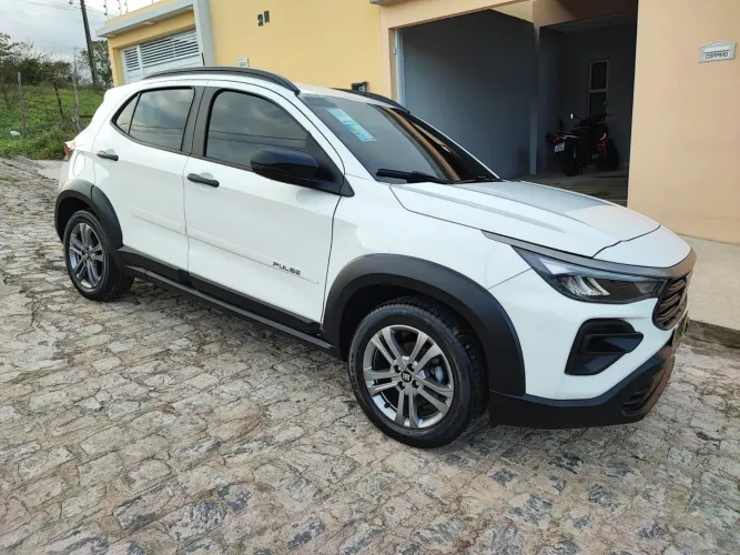 Pulse drive 1.3 manual 2024