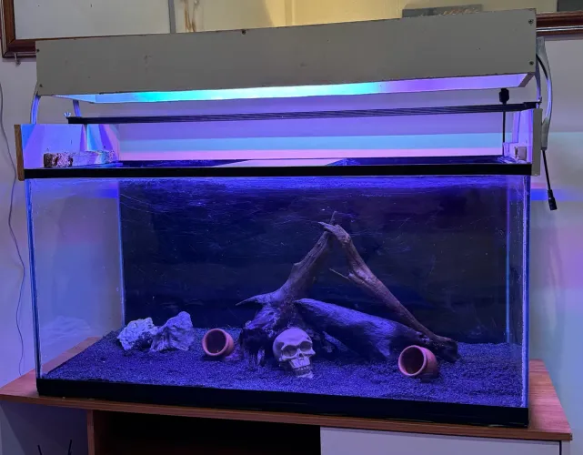 Aquário 130 Litros Completo + Filtro Canister 1000 L/h + Termostato 150W