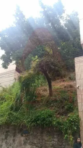 Imóvel para venda tem 450 metros quadrados em Santa Teresa - Rio de Janeiro - RJ