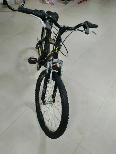 Bicicleta