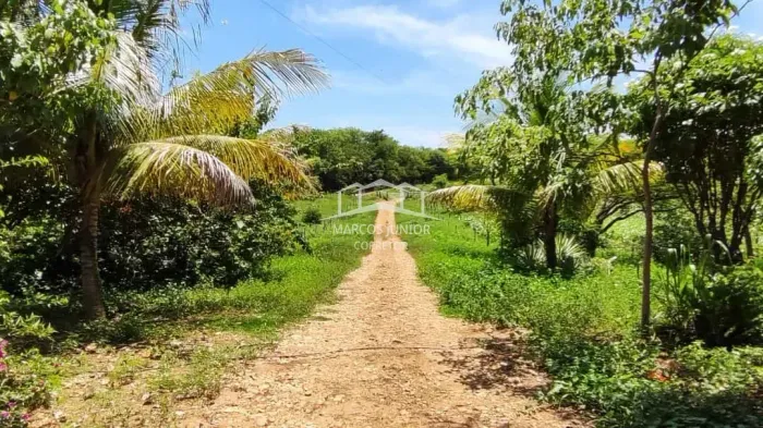 LINDO SITIO NA ESTRADA DA PRODUÇÃO EM MONTES CLAROS MG COM TERRA DE CULTURA