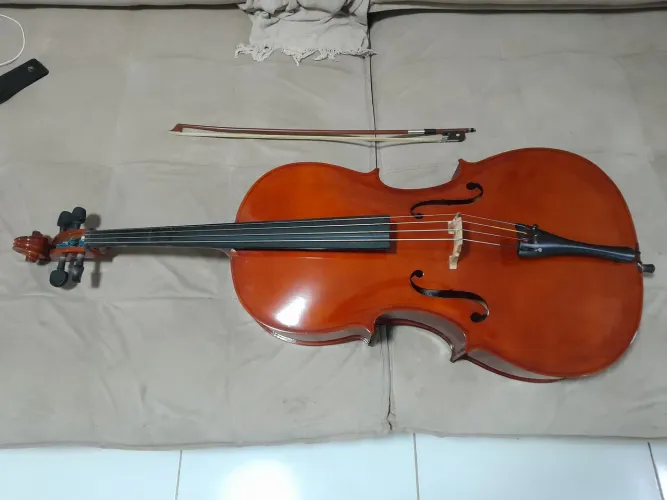 Violoncelo