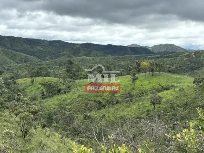 Fazenda 118 Alqueires (571 hectares) Padre Bernardo - GO
