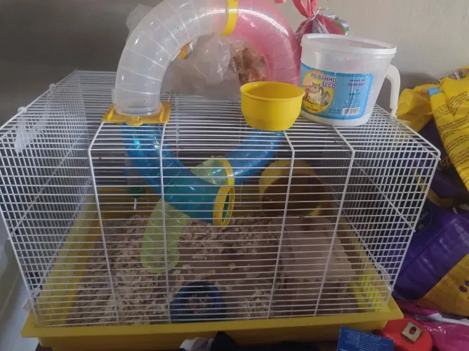 Gaiola hamster