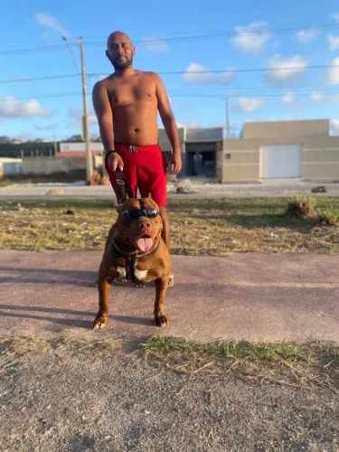 Pit monster disponível para cobertura 