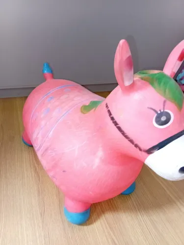Cavalinho pula pula