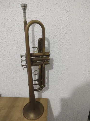 Trompete Condor Sib