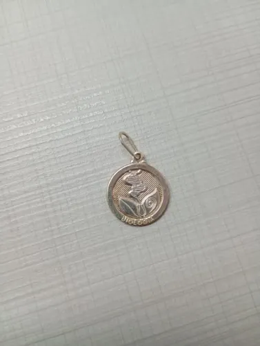Pingente Profissão Biologia Prata 925 Original
