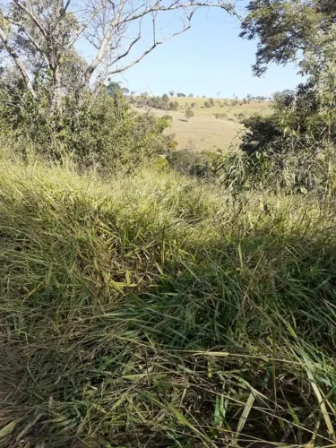 Terreno de 2.000 m2 
