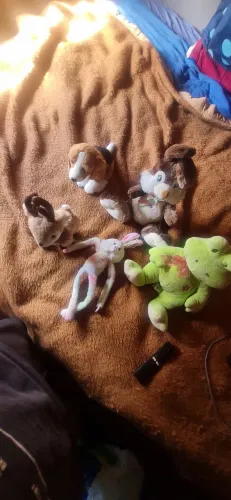 Pelúcias 
