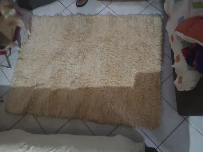 Tapete Felpudo Bege para sala 1,50×1,00 cm só 70,00