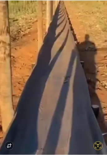 Cocho de borracha  para gado