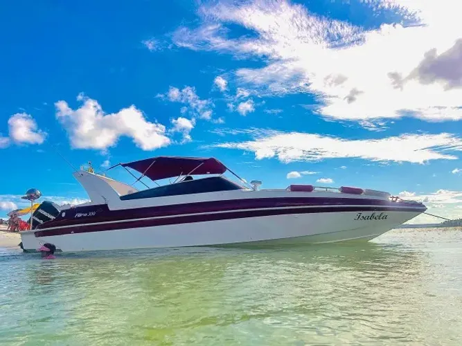 Lancha Ecomariner Alfa 300 open