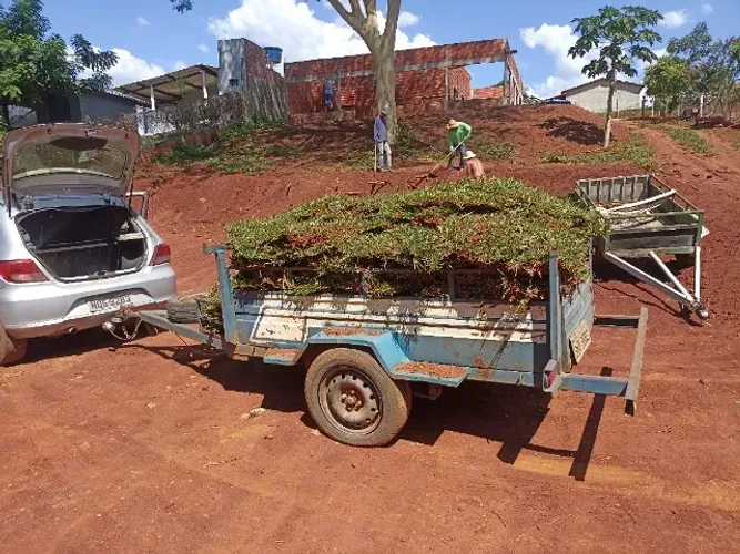 GRAMAS JA PLANTADAS EM MINEIROS E REGIAO A PARTIR DE 8 REAIS ..