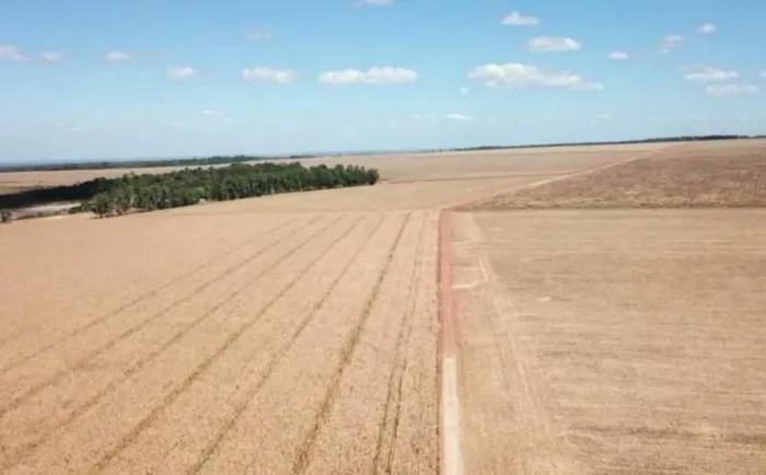Fazenda de 39.000hec em Confresa MT. Com 10 mil hec abertos 650 milhões.