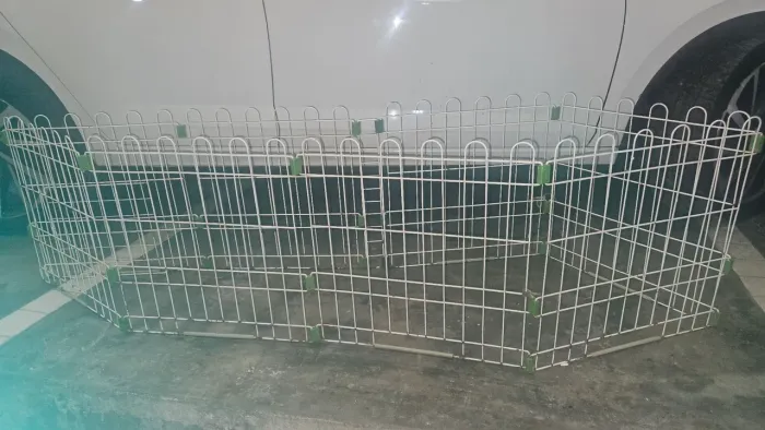 Vendo certinho pra animais