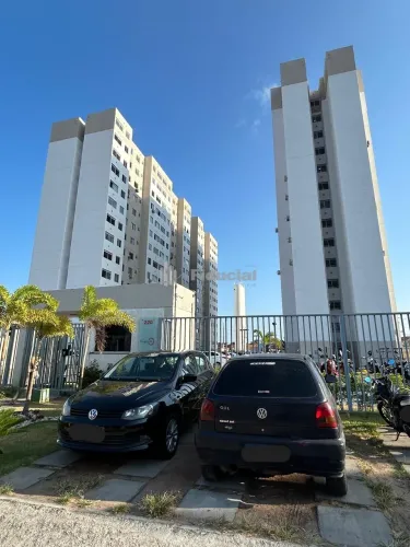 Apartamento novo, primeira locação, com 38,77m², 2 quartos, WC social, sala, cozinha, área