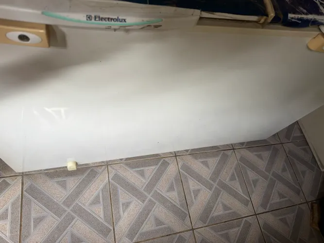 Freezer Electrolux