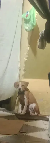 Doação