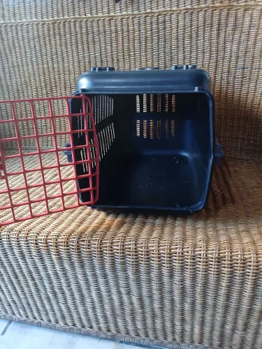 Caixa de transporte de Pet - Porte medio