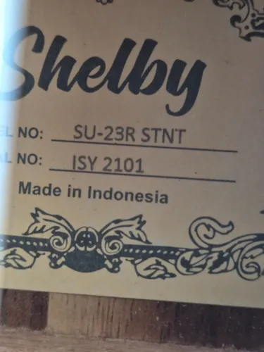 Ukulele Shelby Concert
