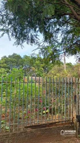 Excelente Terreno em Nova Esperança