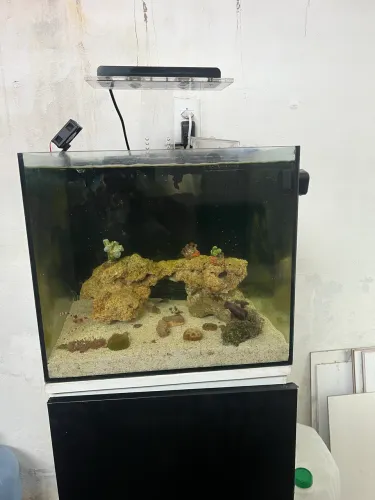 Aquário marinho completo