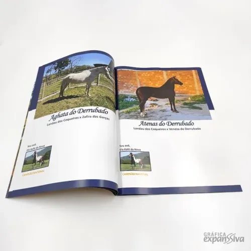 50 revistas personalizadas 30x20 cm. 8 paginas