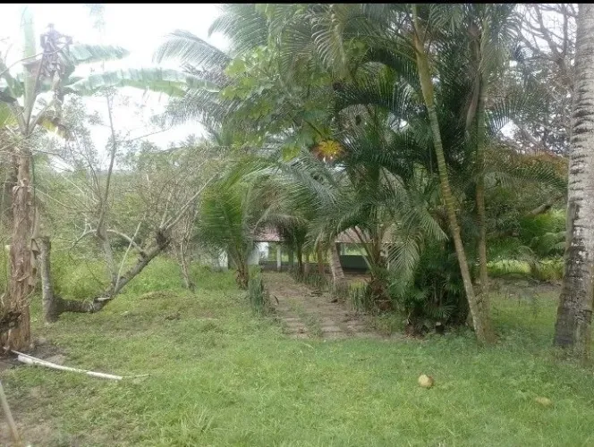 Granja no conde